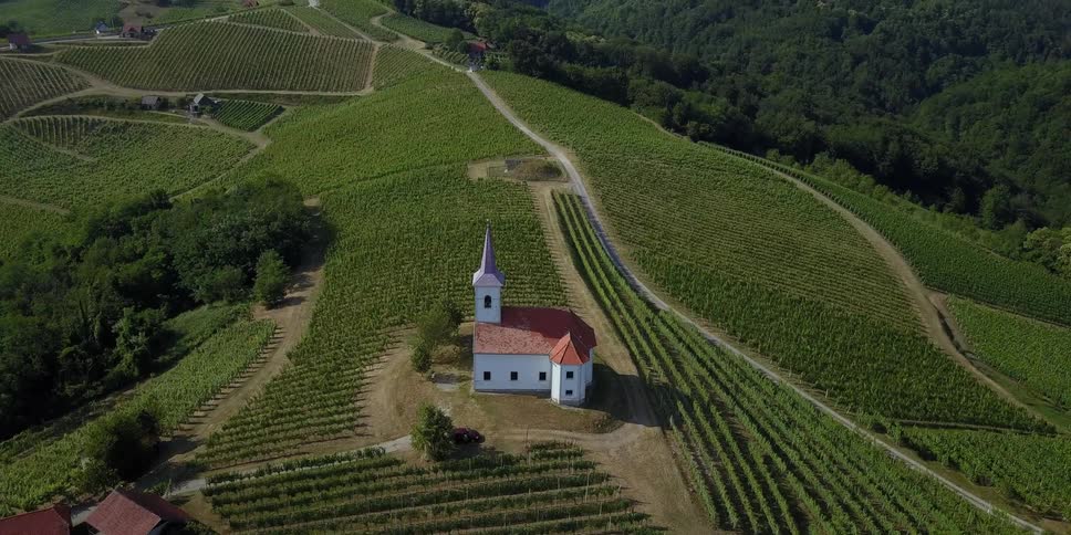 A church stands atop a vineyard-covered hillside