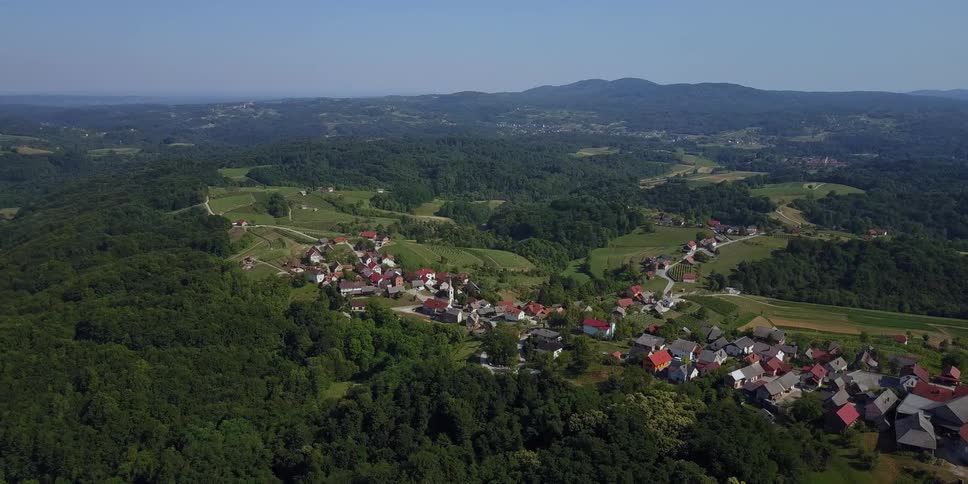 A small community is surrounded by trees on a sunny day