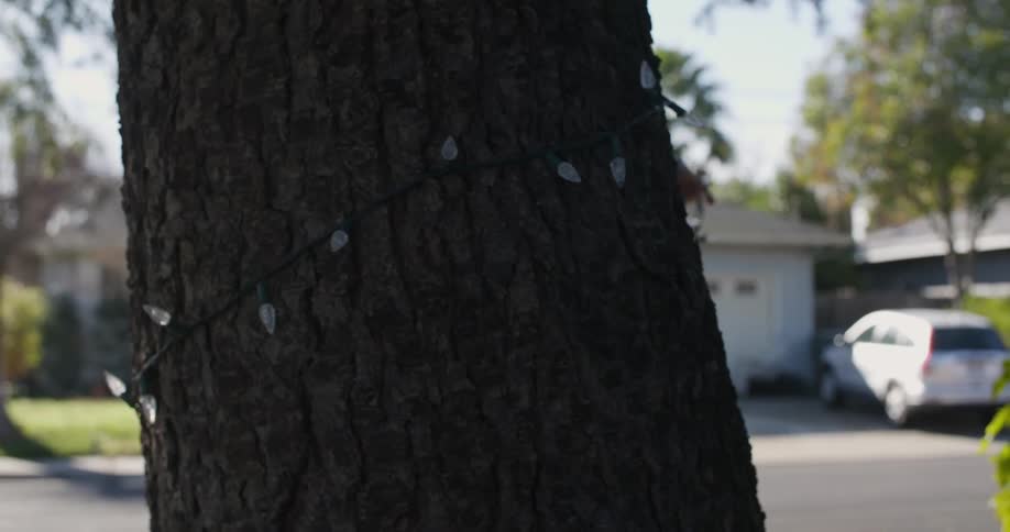 A man wraps christmas lights around a tree in a front yard