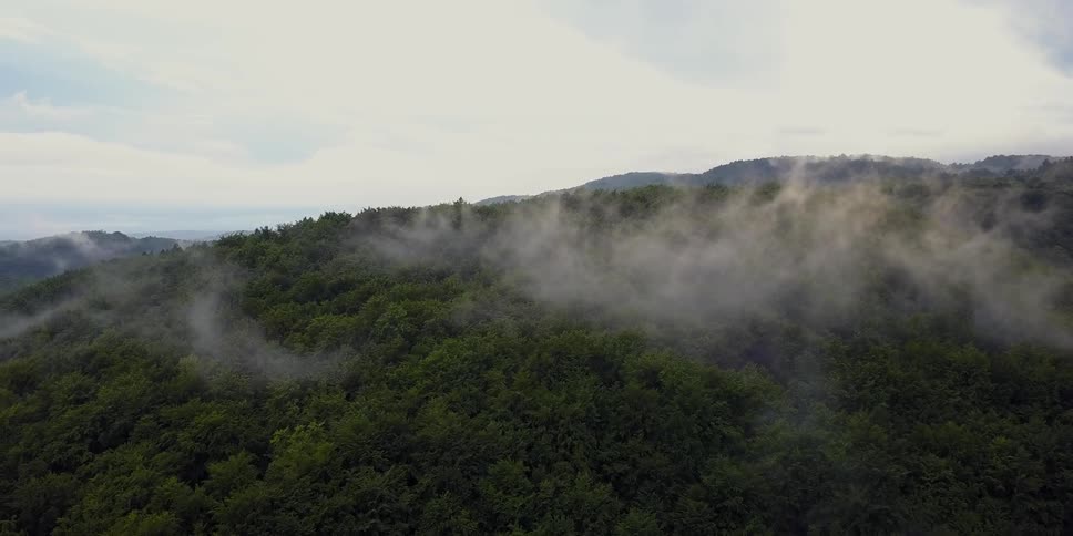 The high hill is covered with fog and green