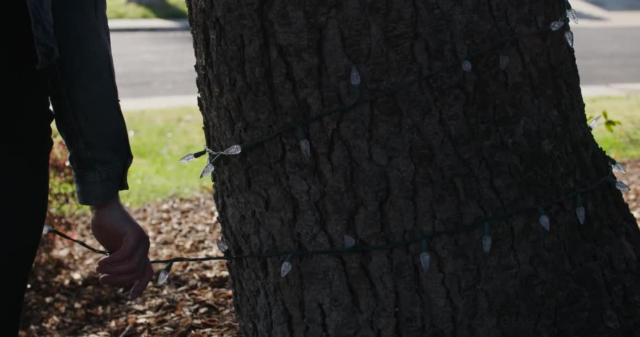 A man wraps christmas lights around a tree in the front yard