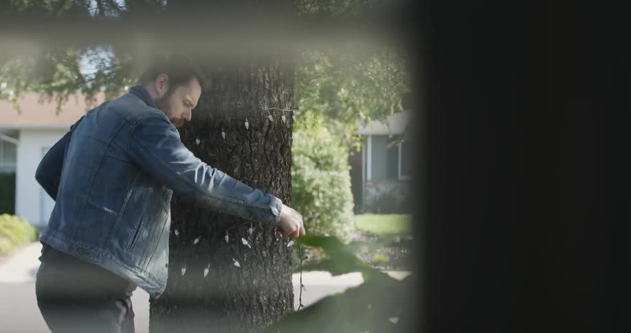 A man is winding lights around a tree outside
