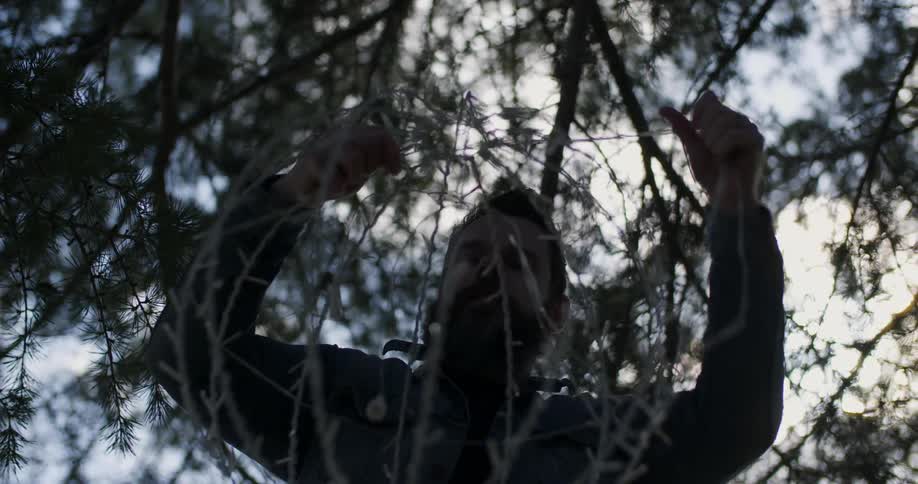 A man hangs christmas lights from an outdoor tree