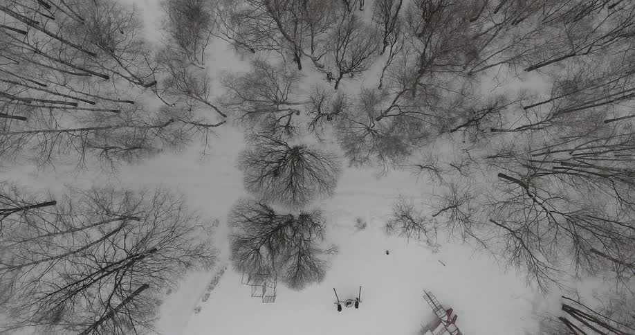Bare trees stand in a snowy area