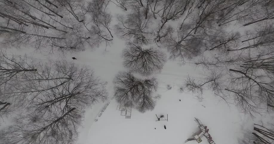 Person walking through a snow covered forest