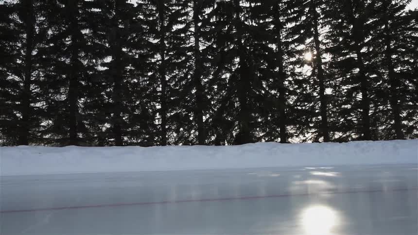 The sun peeks through pine trees near an outdoor ice-skating track