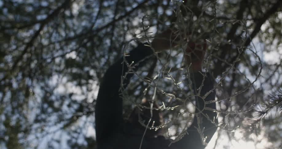 Man hanging up a decoration of lights
