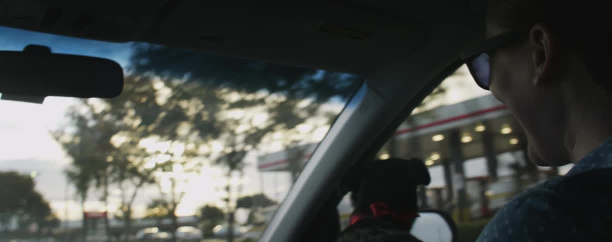 A woman is petting her dog as she travels in a car