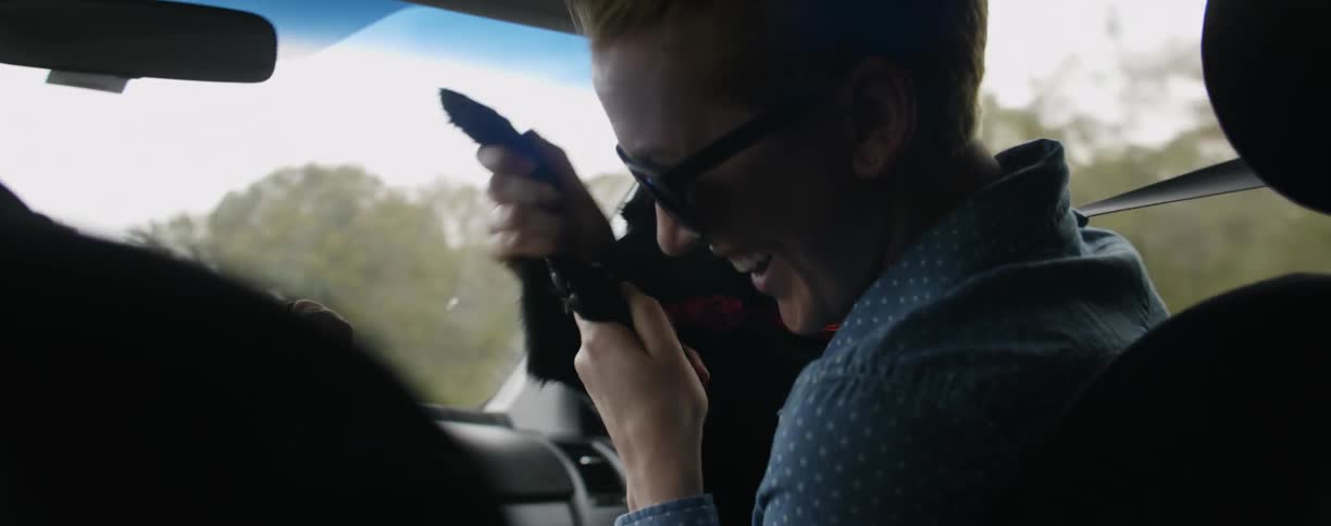 A woman in the passenger seat plays with a dog