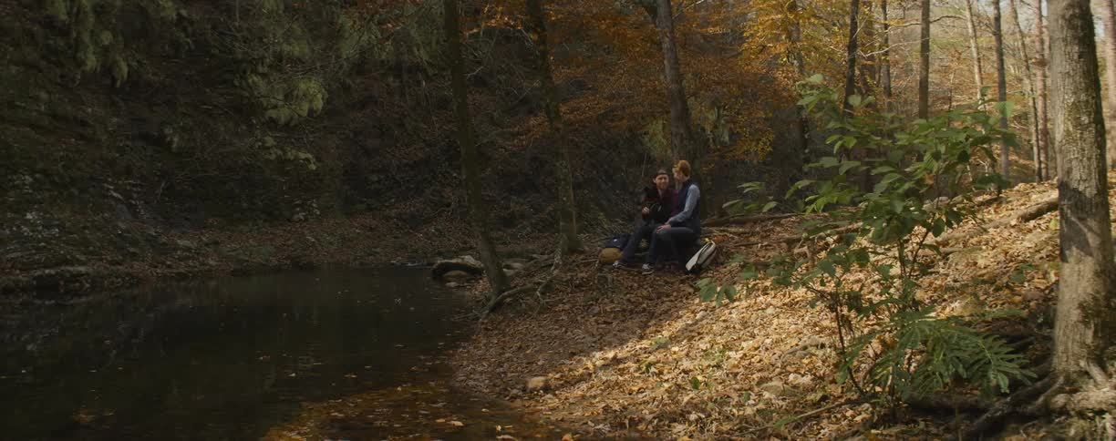 Man and woman sit next to a stream in the woods