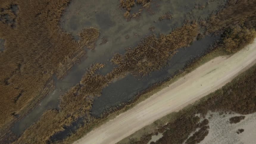 A dirt road runs by a marsh