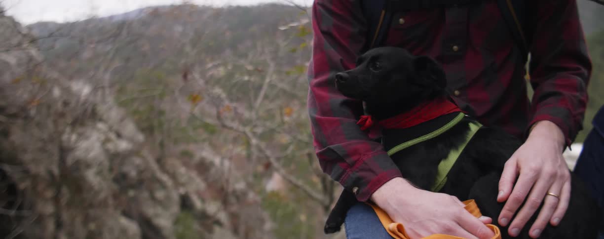 Person sitting outside with a dog on their lap