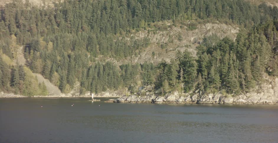 Trees grow on a slope next to a large lake