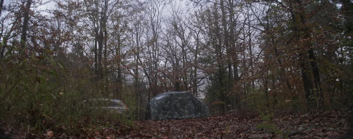 Vehicle and tent in the middle of the woods