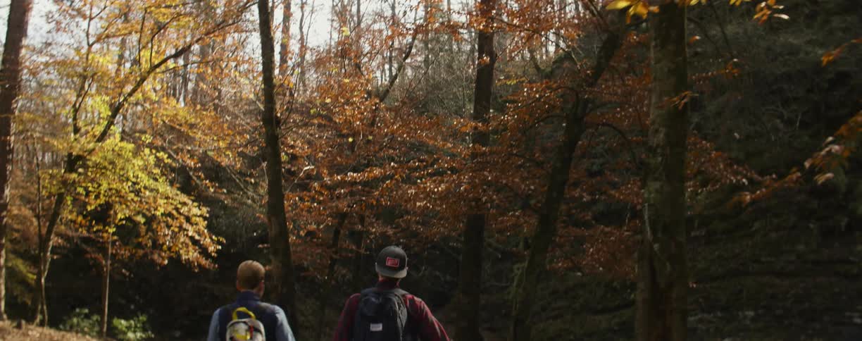 A view of some trees in the woods and a couple of people walking