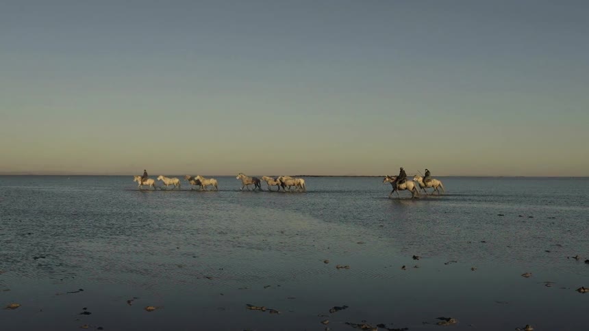 People riding horses with other riderless horses in a flat area