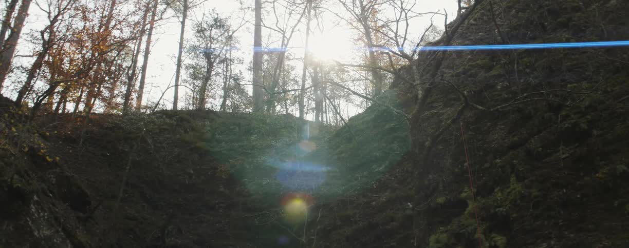 Sun shining through the trees and hills