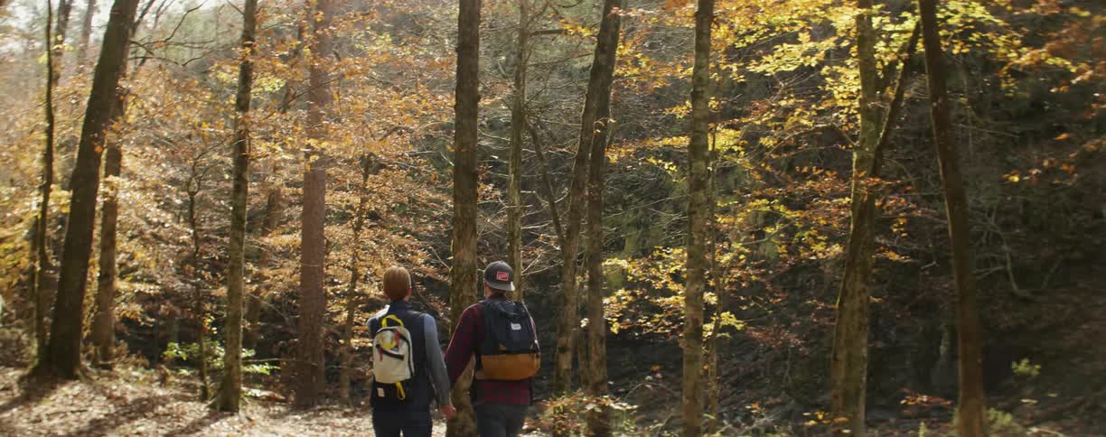 A couple hold hands and walk their dog in the woods