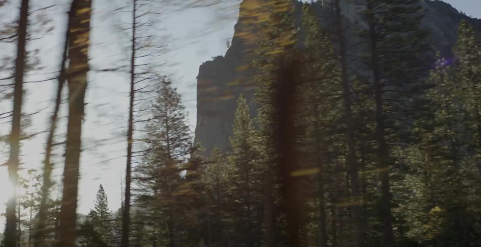 Sun shining through the woods with all mountain in the background