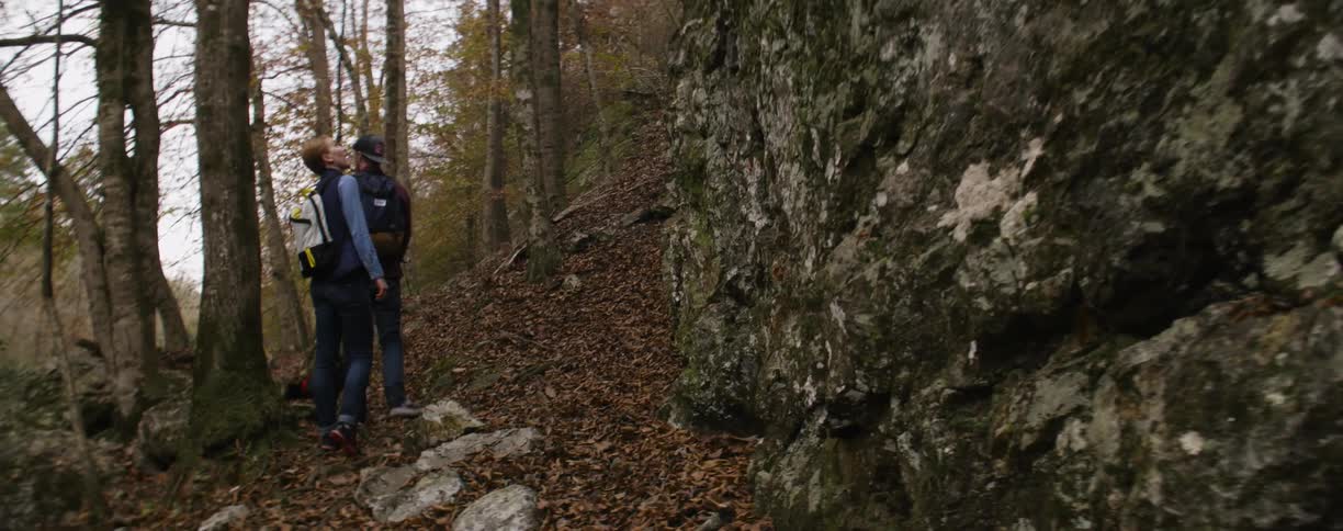 A couple of people with a dog walking a trail in the woods
