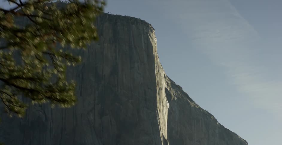 A view of a tree with a large rock or mountain in the background