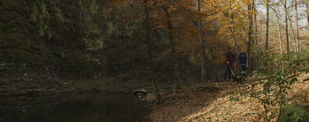 Two people are hiking in the forest together