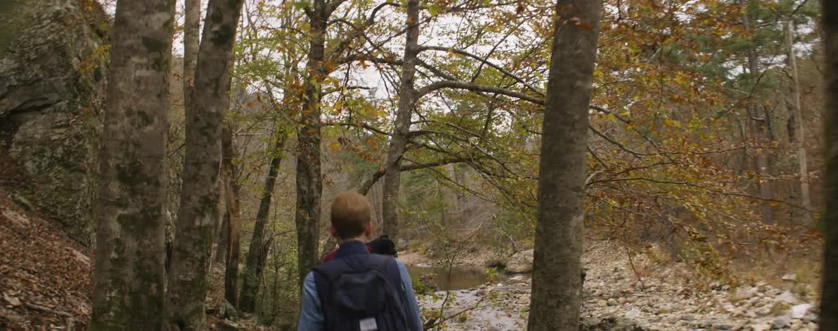 Couple hiking through the woods carrying backpacks