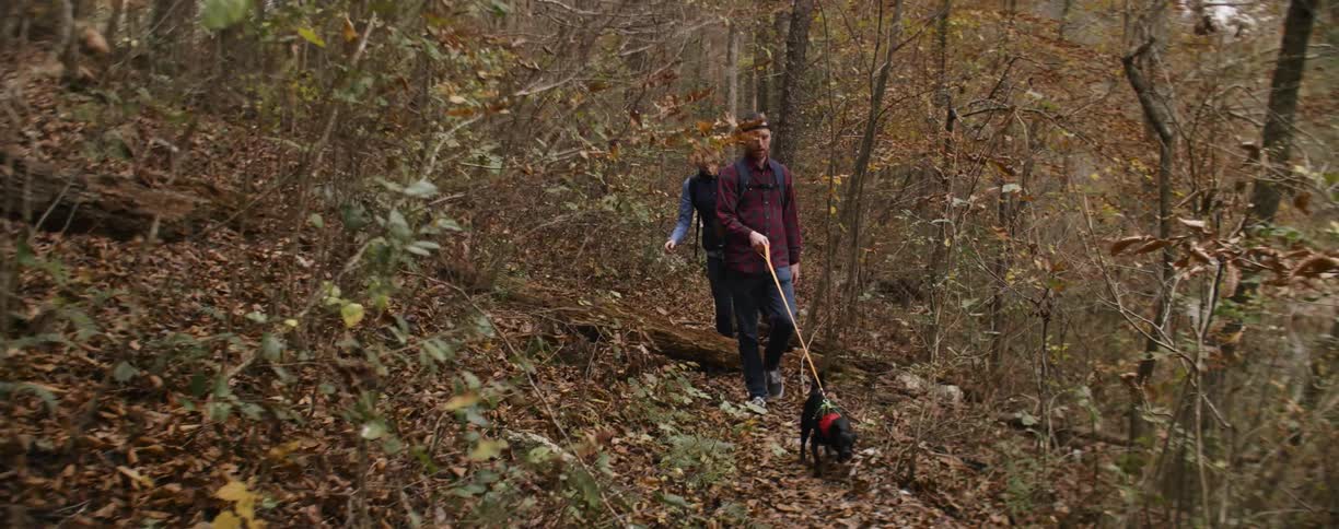 A man and woman walk a dog through the forest