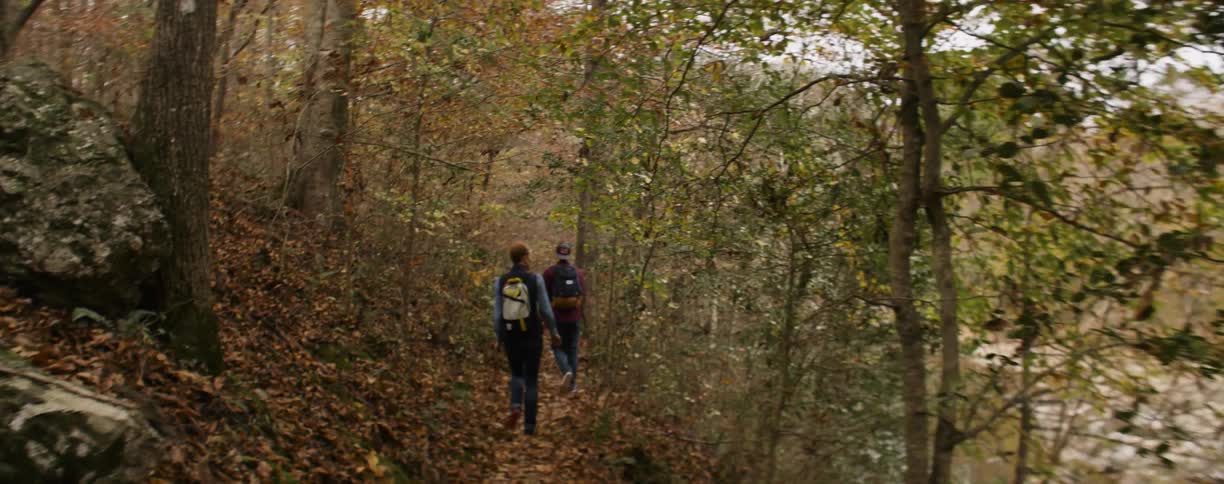 Two people are hiking on a small trail in the woods