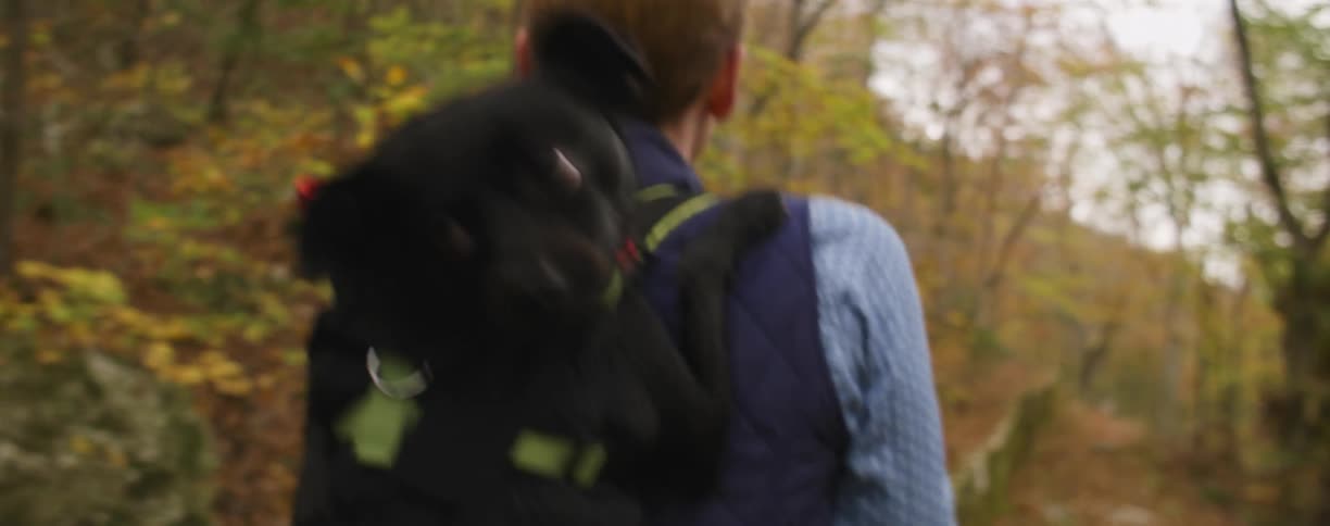 A woman hiking in the woods with a dog on her back