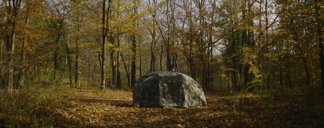 Tent in the middle of the woods
