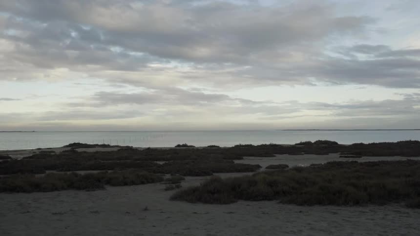 View of a beach and ocean on a cloudy day