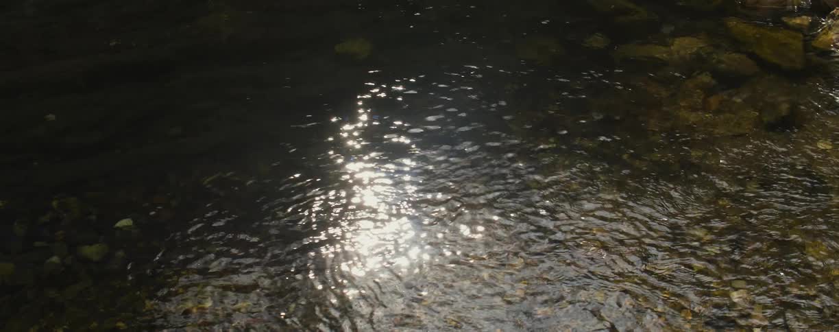 Water ripples in a stream and reflects the sunlight