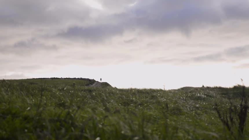 Grass blowing in the breeze on a cloudy day