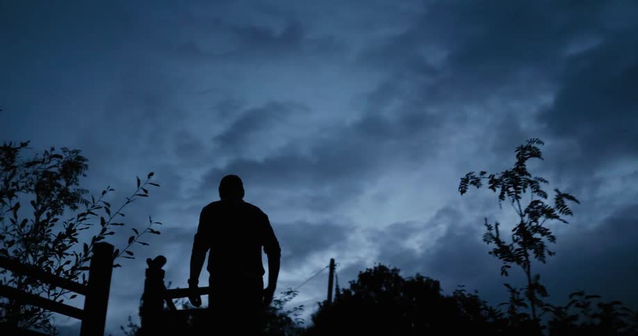 A man walks up a hill with shrubs at night
