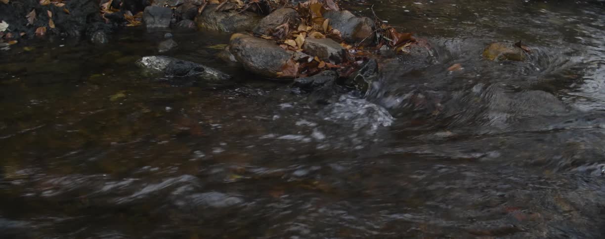 The stream has fast moving water over the rocks