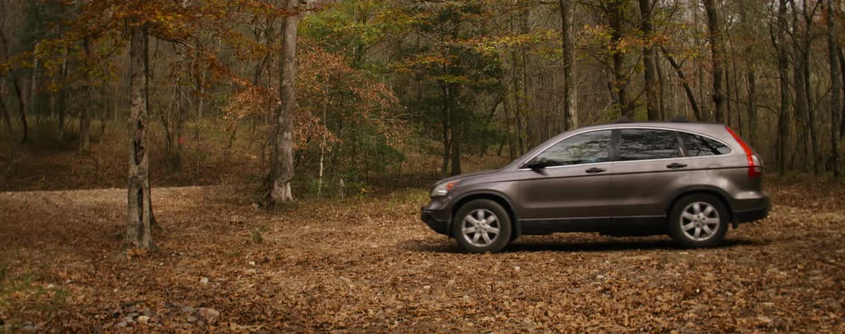 A car drives in the woods