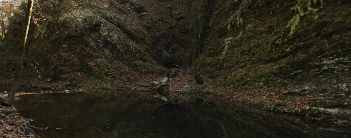 A murky pool of still water near a cliff