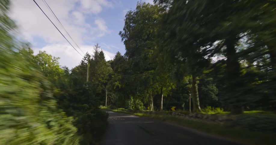 A vehicle drives on a rural road surrounded by trees