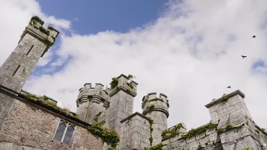 Birds fly over a stone castle