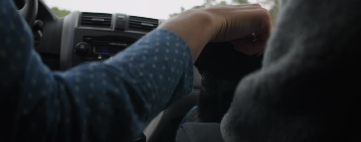 Person driving and petting a black dog