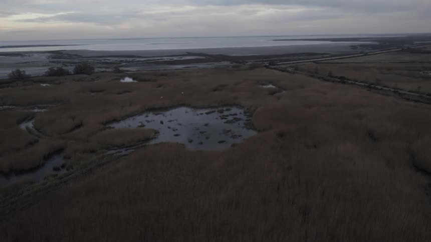 Swampy land on a cloudy day