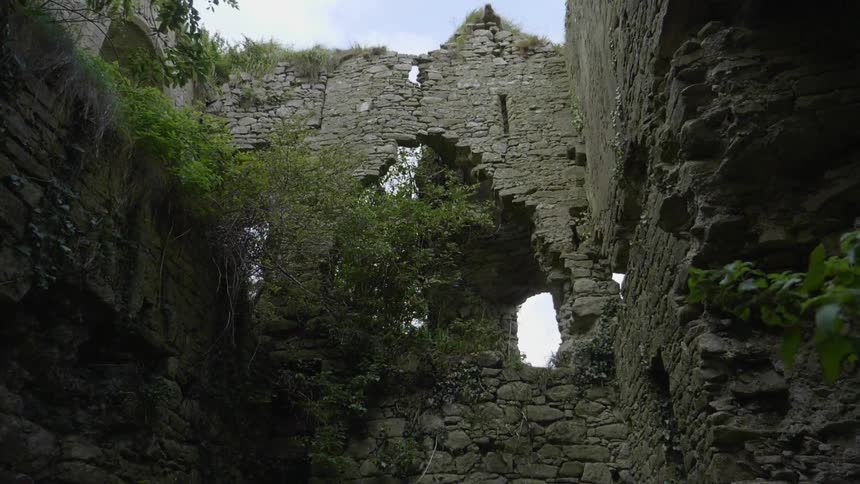 A stone building is crumbling and covered with vines