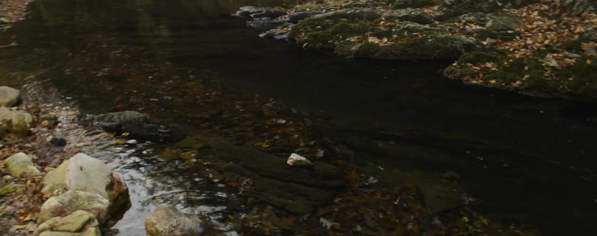 Close up of rocks at the bottom of a shallow stream