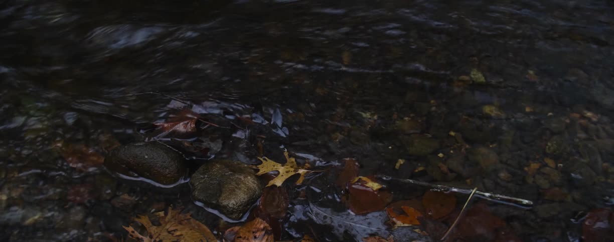 A close of view of some water like a river running