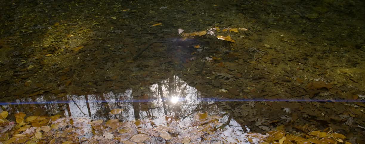 Sun shining on a shallow pool of clear water