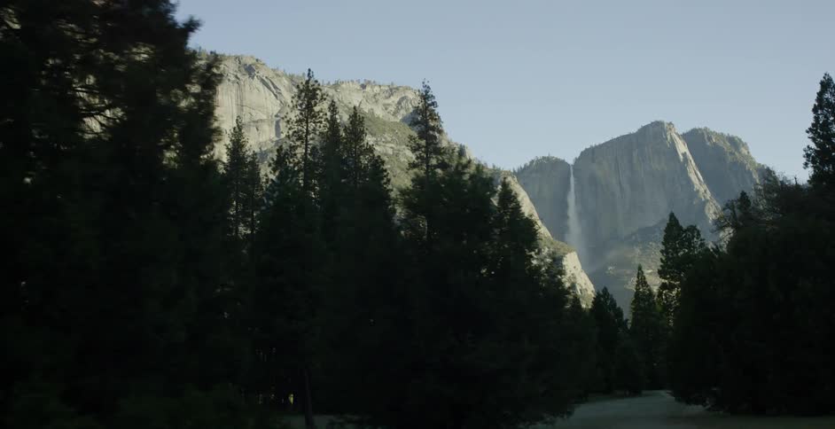 A forest near mountains on a clear day