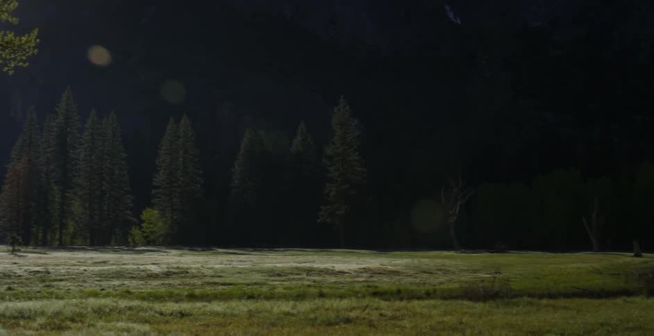 The sun shines on a grassy field