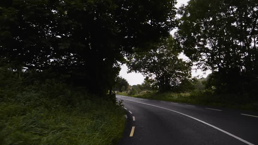 A road in the country surrounded by trees