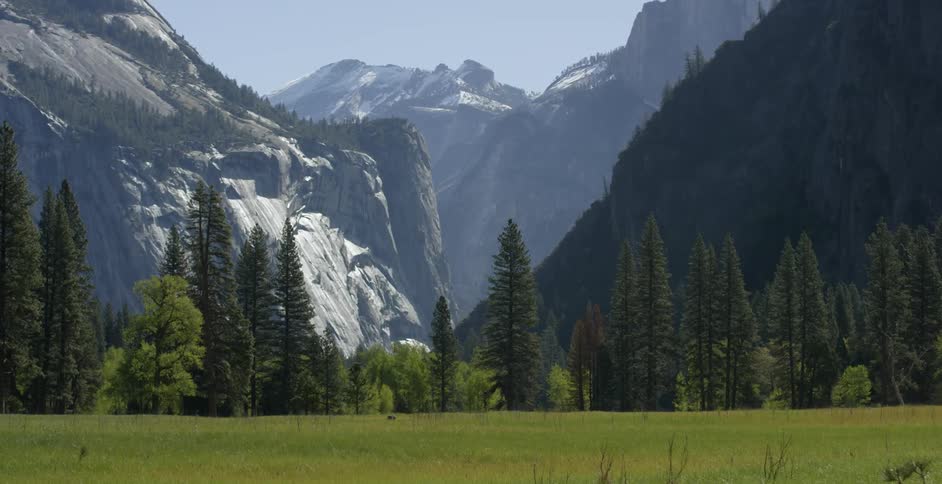 A line of trees in front of mountains